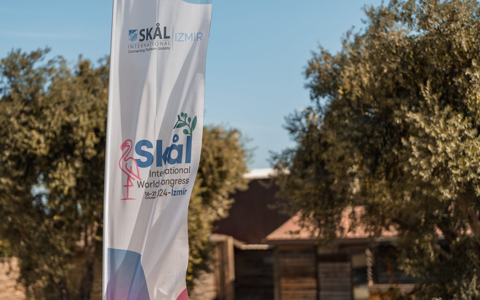 Gallery thumbnail 15